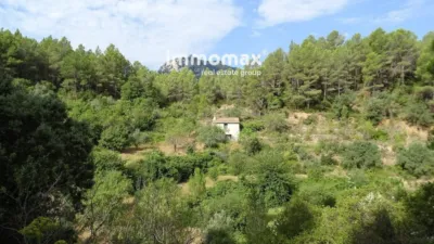 Rustic finca in Paüls photo 21