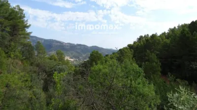 Rustic finca in Paüls photo 31