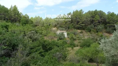 Rustic finca in Paüls photo 23