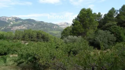 Rustic finca in Paüls photo 7