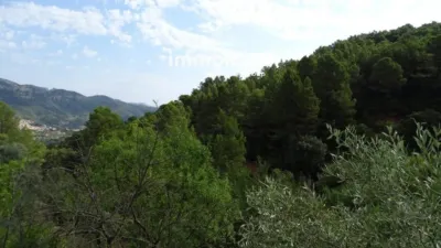 Rustic finca in Paüls photo 30