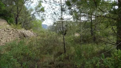 Rustic finca in Paüls photo 38
