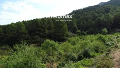 Rustic finca in Paüls photo 14