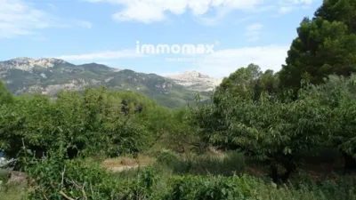 Rustic finca in Paüls photo 5