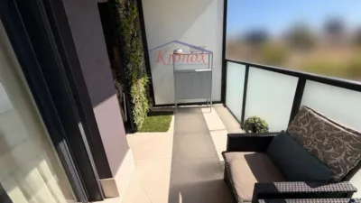 Apartment in Cañaveral photo 14