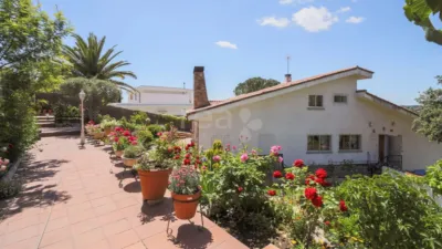 Chalet in Santo Domingo photo 16