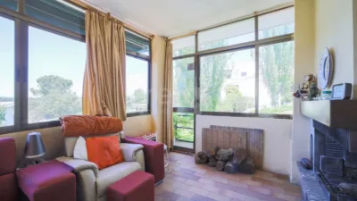 Chalet in Santo Domingo photo 34