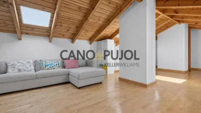 Penthouse on Carrer d'Antoni Sedó photo 6