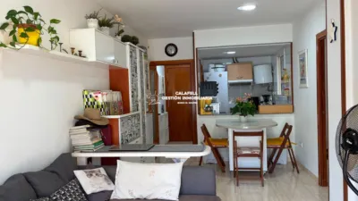 Apartment on Carrer del Rin, 23 photo 30