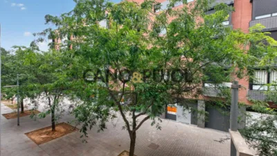 Apartment on Carrer de Benet Cortada photo 28