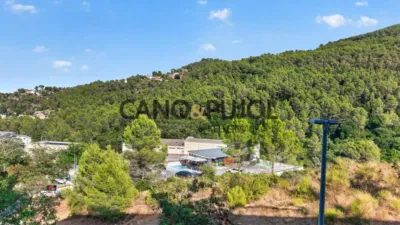 Apartment in Corbera de Llobregat photo 18