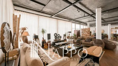 Loft in El Terreno photo 8