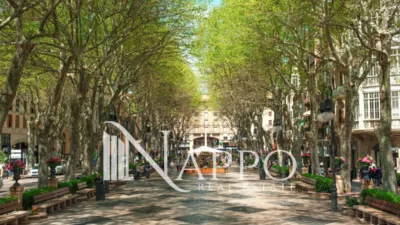 Apartment in Pere Garau photo 12