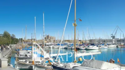 Apartment in Pere Garau photo 15