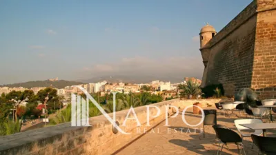 Apartment in Pere Garau photo 14