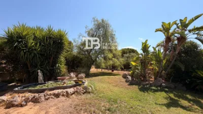 House in Camí de Cantina photo 7