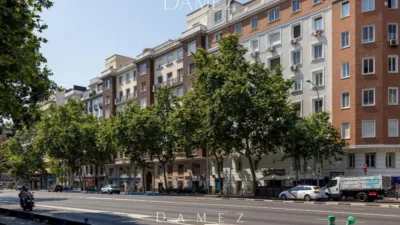 Apartment in Salamanca District photo 25