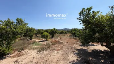Rustic Finca in Aldover photo 9