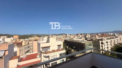 Apartment on Carrer de Joan Crespí photo 16