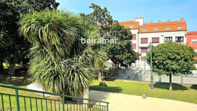 Chalet in Palmeira photo 23