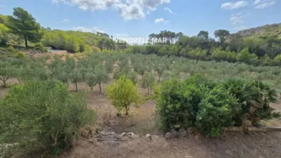 Rustic Finca in Albinyana photo 28