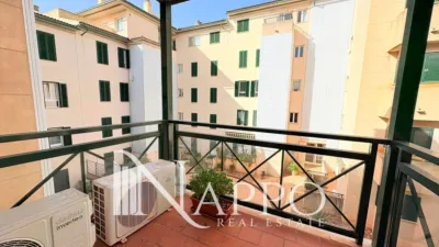 Apartment on Carrer de la Tramuntana photo 14
