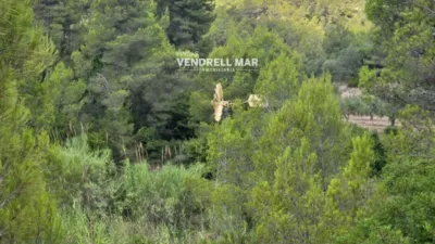 Rustic Finca in Albinyana photo 35