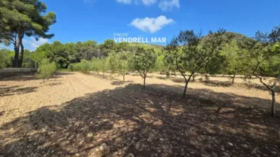 Rustic Finca in Albinyana photo 18