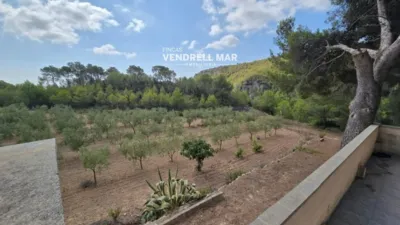 Rustic Finca in Albinyana photo 32