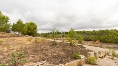House at Carrer Número 4 photo 6