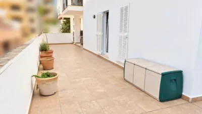 Apartment in Platja d'Alcúdia-Port d'Alcúdia photo 12