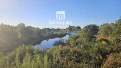 Apartment in Les Salines-Clot del Bassó-Mota de Sant Pere photo 26