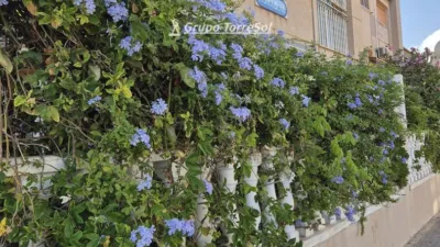 Semi-detached house on Avinguda de Vicente Blasco Ibáñez photo 49