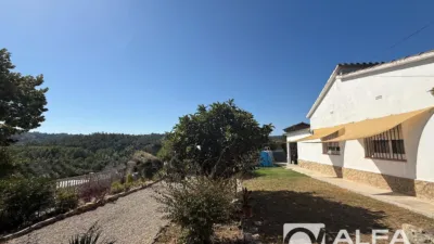 House in Cartellà photo 25