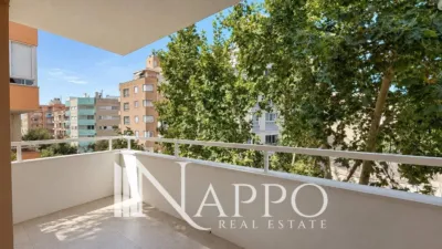 Apartment in Santa Catalina photo 4
