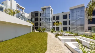Apartment in Castillo photo 30