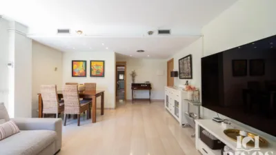 Duplex in Centre photo 19