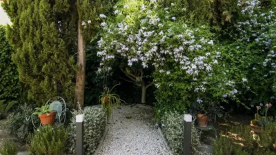  photo 39