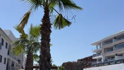 Apartment in Higueron photo 18
