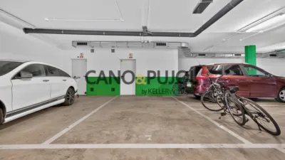 Duplex Penthouse on Avinguda de Can Canyameres photo 49