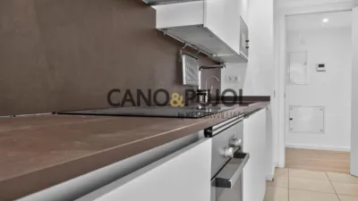 Duplex Penthouse on Avinguda de Can Canyameres photo 18
