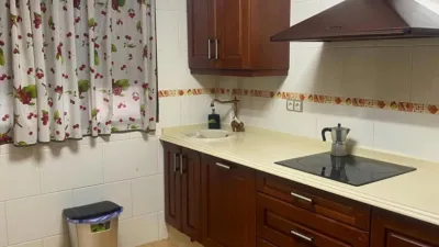 Apartment in El Carmen-Cardeñas photo 6