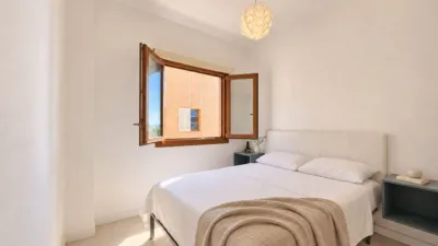 Apartment in Puerto de Alcudia photo 12