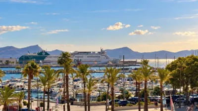 Apartment in Puerto de Alcudia photo 2