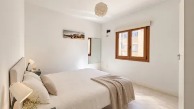 Apartment in Puerto de Alcudia photo 10