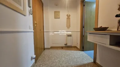 Apartment on Avinguda de Castell photo 5