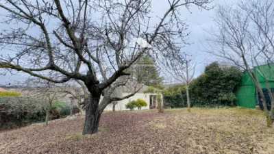 Chalet on Camino de Laguna photo 23