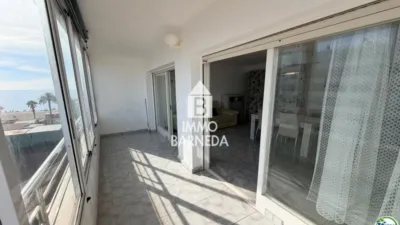 Apartment on Gola de L'Estany Street, No. 16 photo 8