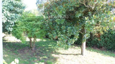 House in Begonte photo 11