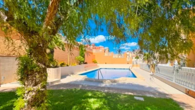 Pis – Elx - Elche - Vista 3